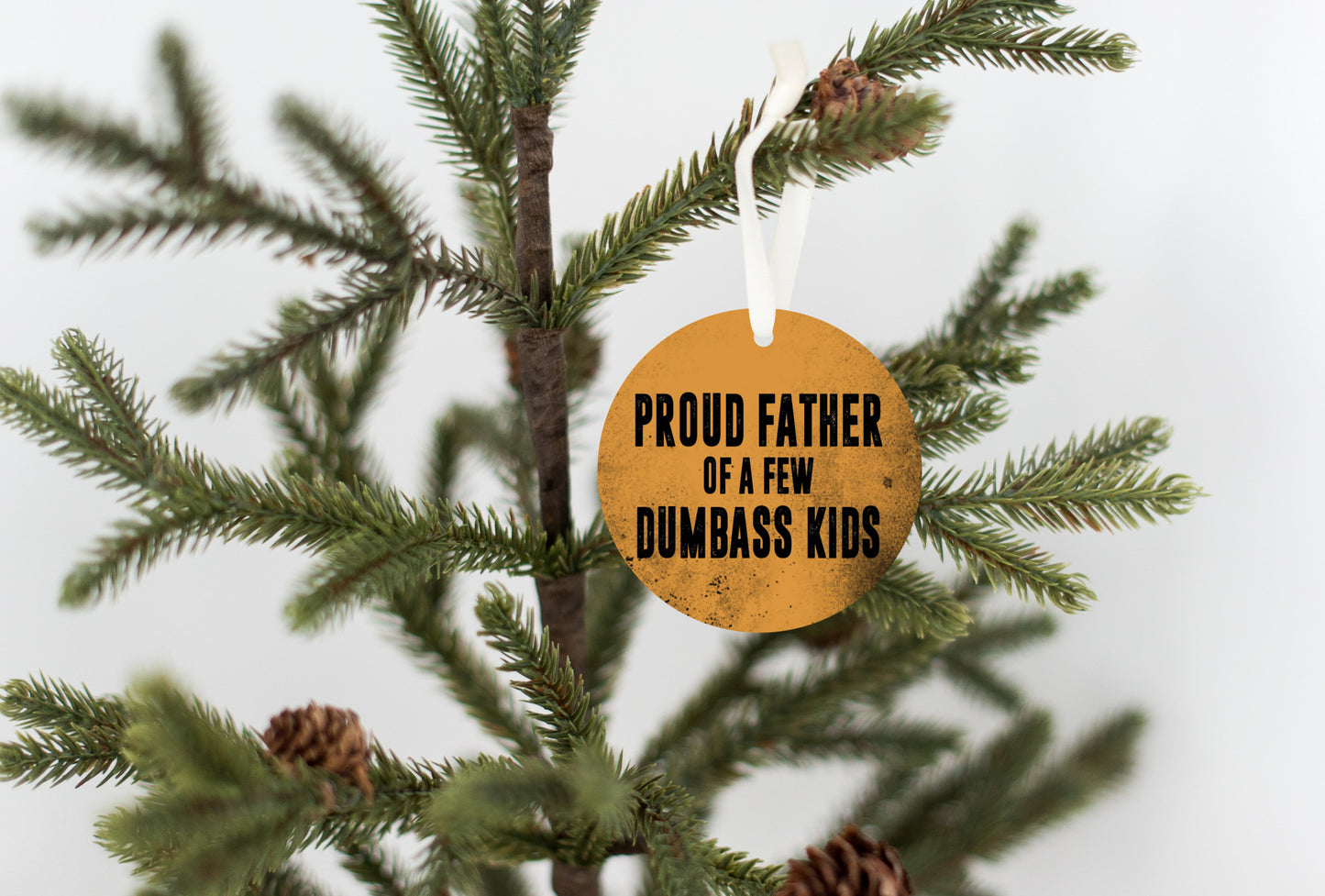 Proud Father Ornament